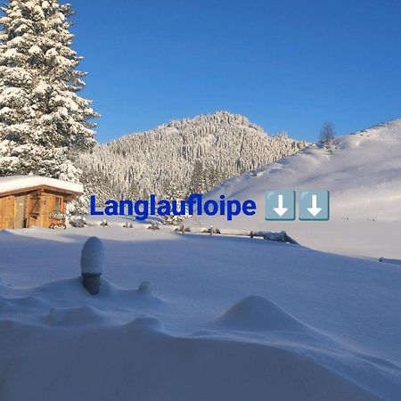 Haus Jessica Incl National Park Sommercard Mittersill Bagian luar foto