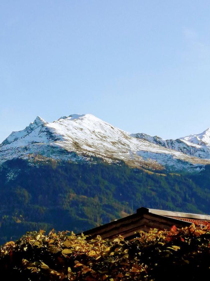 Haus Jessica Incl National Park Sommercard Mittersill Bagian luar foto