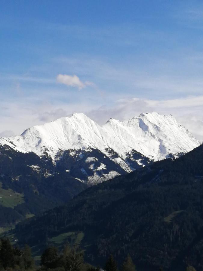 Haus Jessica Incl National Park Sommercard Mittersill Bagian luar foto