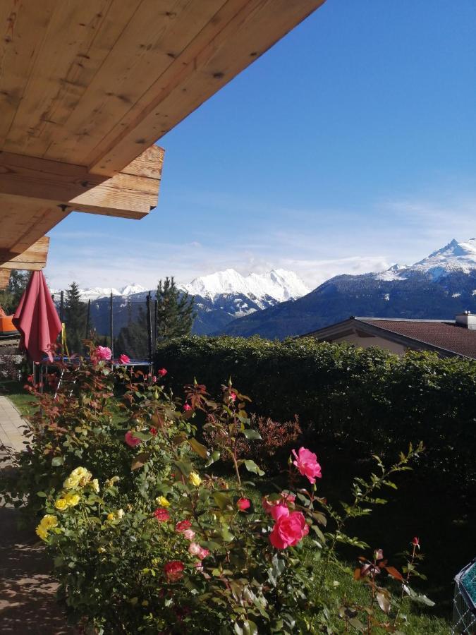 Haus Jessica Incl National Park Sommercard Mittersill Bagian luar foto