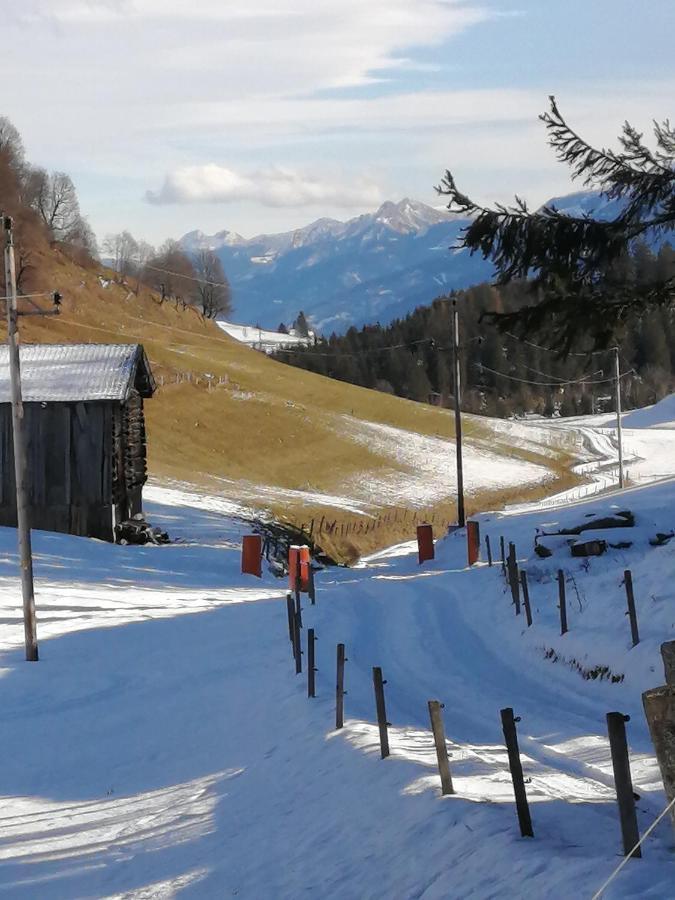 Haus Jessica Incl National Park Sommercard Mittersill Bagian luar foto