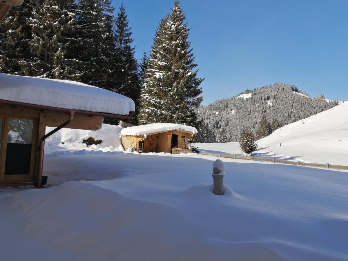 Haus Jessica Incl National Park Sommercard Mittersill Bagian luar foto