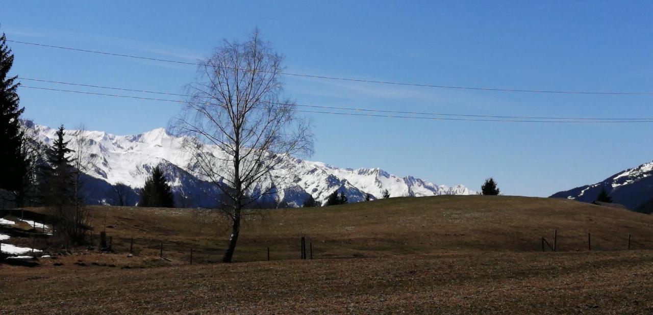 Haus Jessica Incl National Park Sommercard Mittersill Bagian luar foto