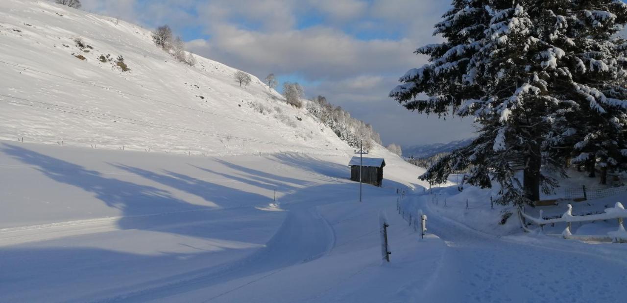 Haus Jessica Incl National Park Sommercard Mittersill Bagian luar foto