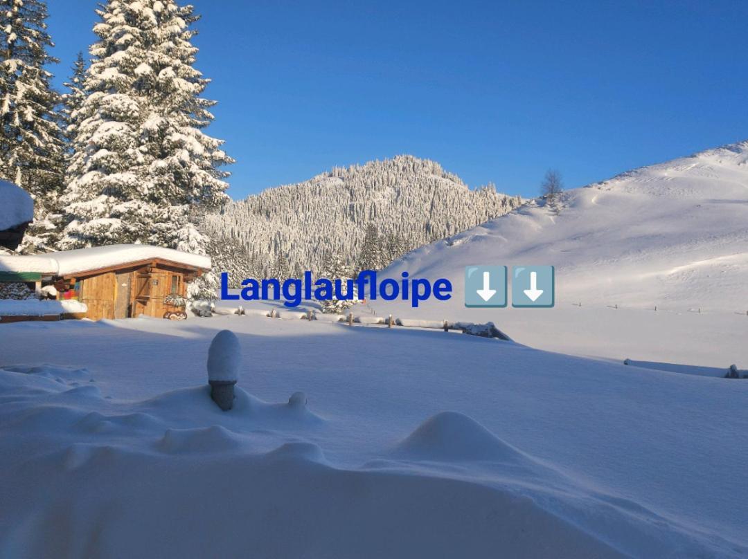 Haus Jessica Incl National Park Sommercard Mittersill Bagian luar foto